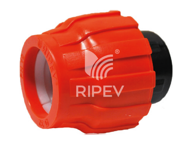 Imagem de Tampão RIPEV – APR 25