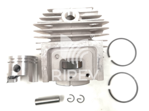 Picture of CYLINDER / PISTON RIPEV