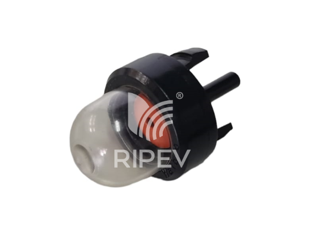 Picture of GASOLINE INJECTOR RIPEV 